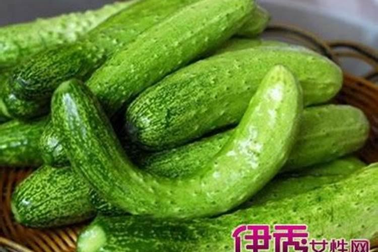 羽衣甘蓝肥水管理