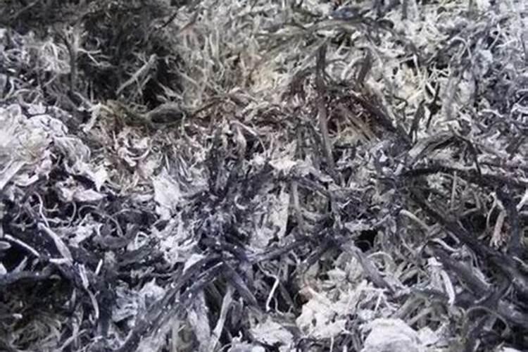 柴火灰可以做肥料吗