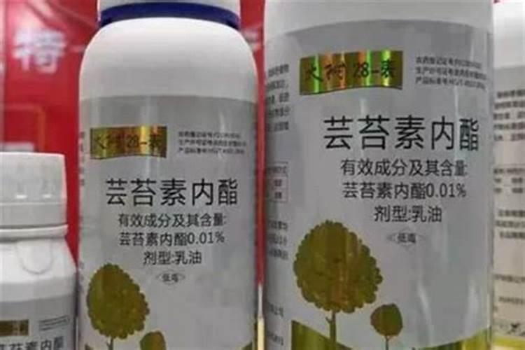 绿植有什么叶面肥