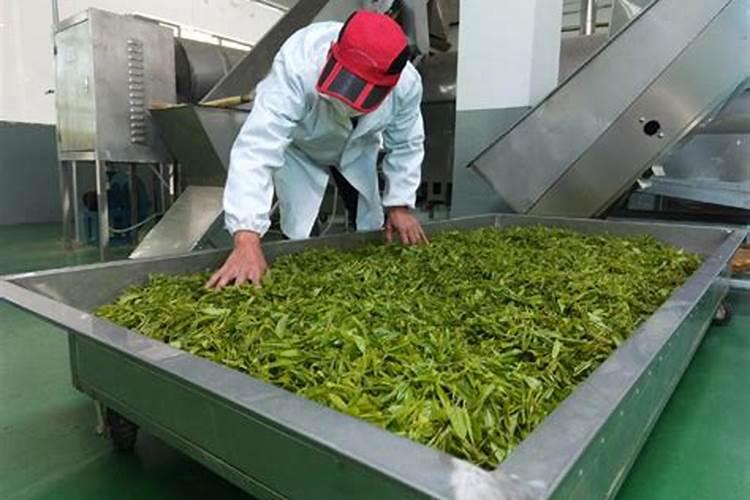 金正大肥料有几个品牌