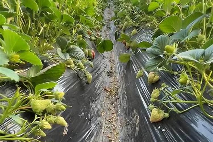 广东清远毅力工业集团还在吗