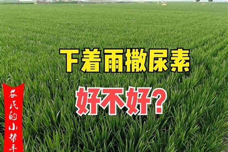 小麦返青后浇水能撒施钾肥吗？