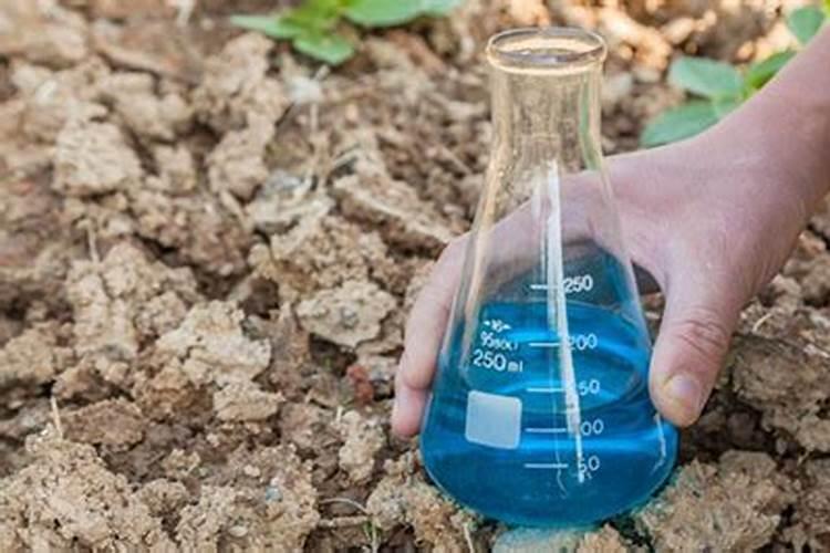 果园测土配方施肥有哪些核心技术要点？