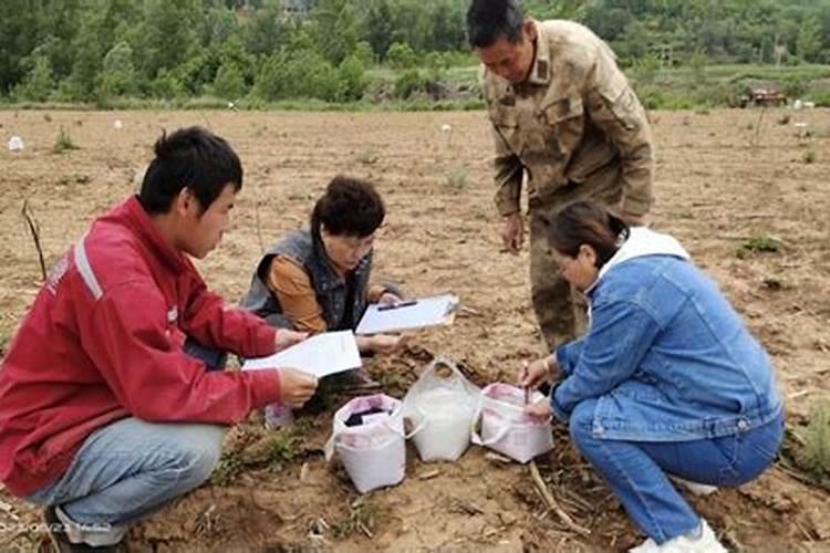 什么是测土配方施肥