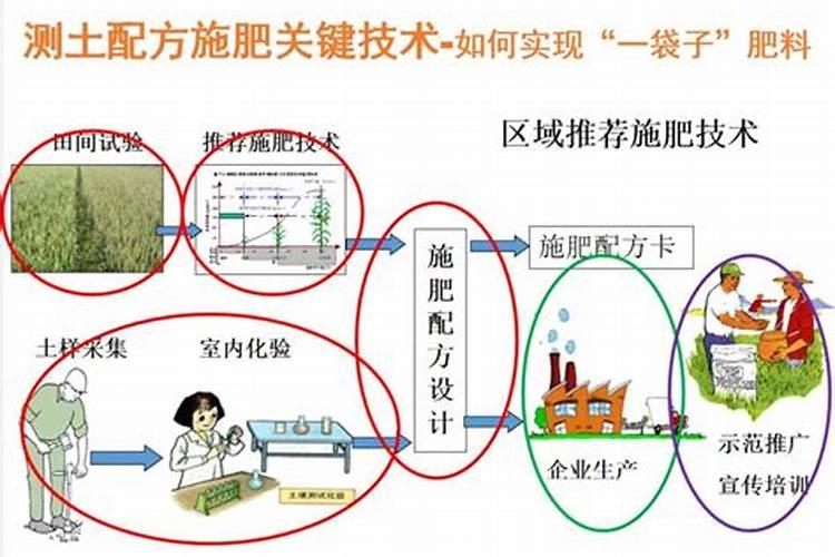 测土配方施肥技术有几个重点内容？
