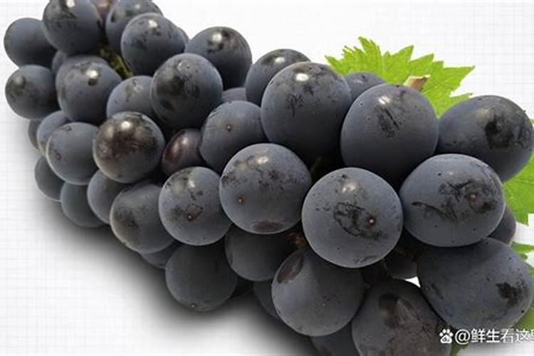 葡萄施钾肥时间和方法 提高产量的诀窍