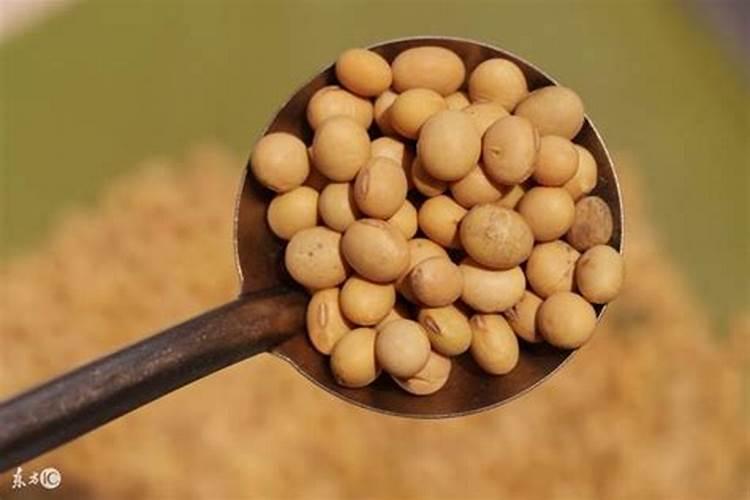 黄豆开花期需要施什么肥 什么时候施肥能高产