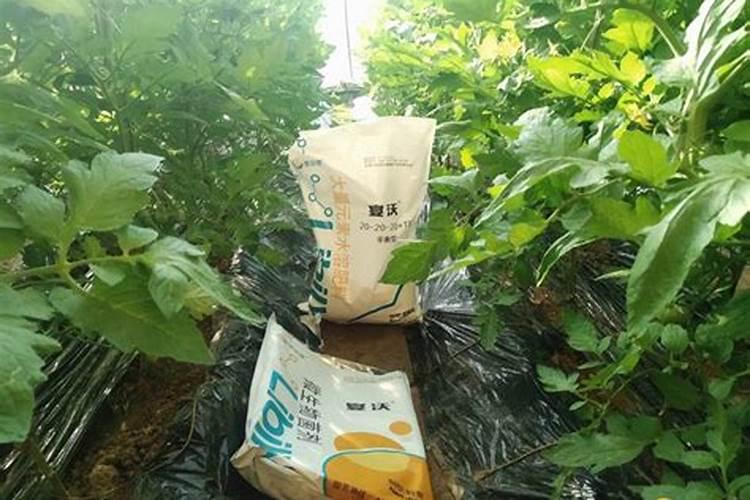 水溶肥施用方式有哪些？