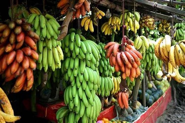 香蕉长果时下什么肥料合适