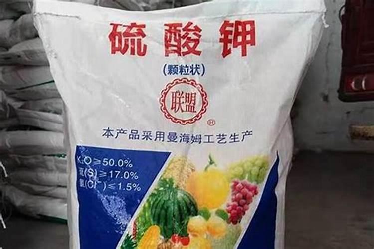 蓝莓冬季施肥方法