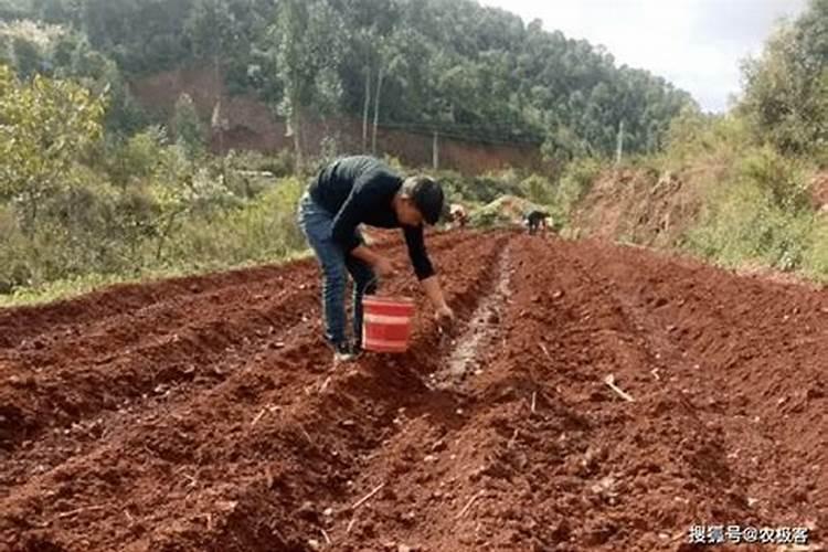 硝酸磷肥的缺点与优点