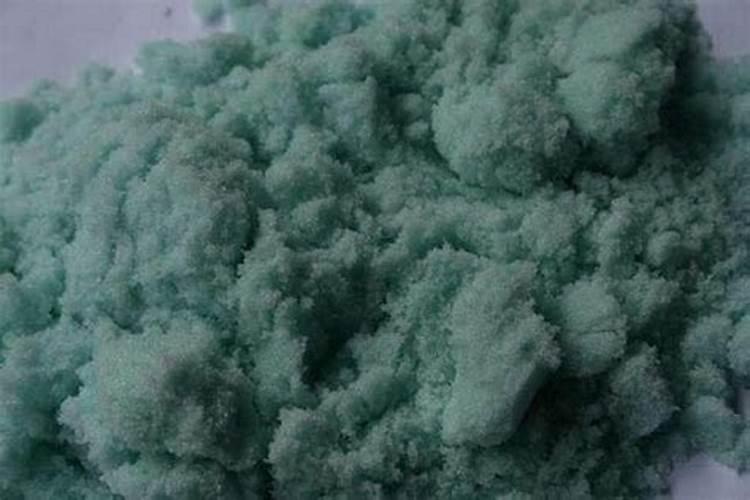 金边吊兰怎么养护长得旺