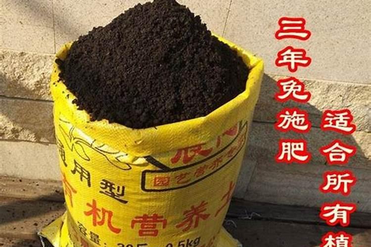 农作物会缺钙吗？如何给农作物补钙？