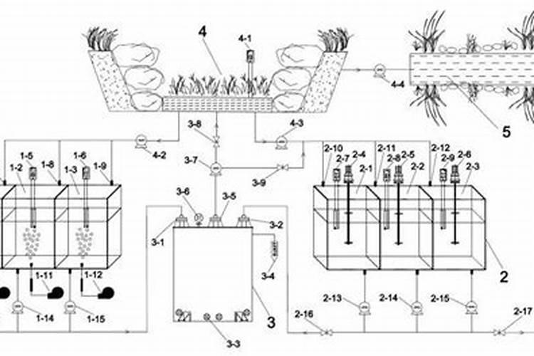 种植氮肥怎么转化