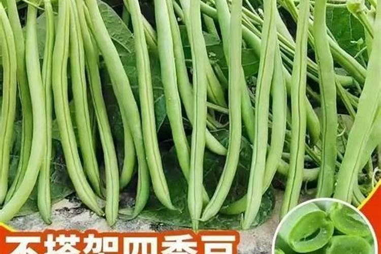 矿源黄腐酸钾使用方法是什么