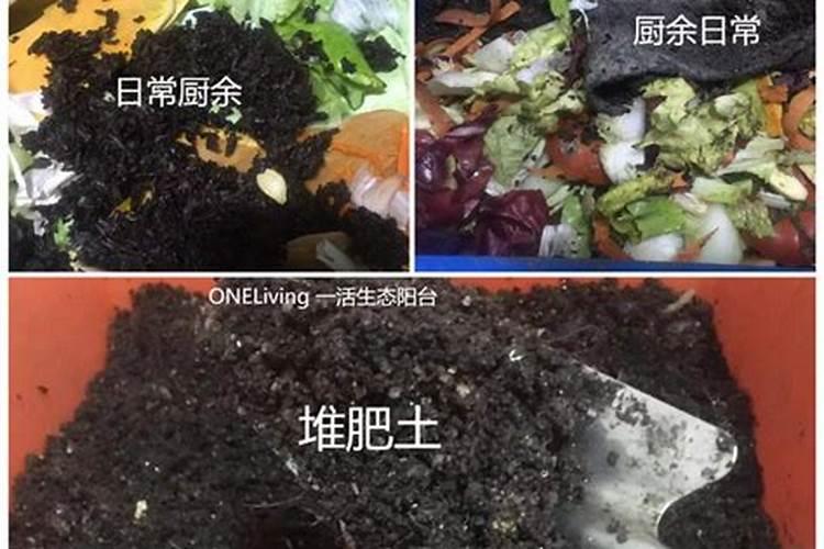 想要做蔬菜种植基地,有什么好的肥料推荐吗？