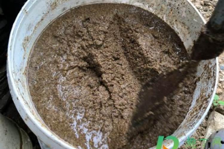 菜籽饼肥料的使用方法