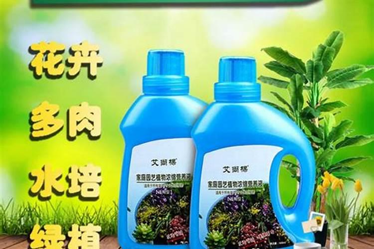 什么药品可以养花;各种养花用什么药片最好