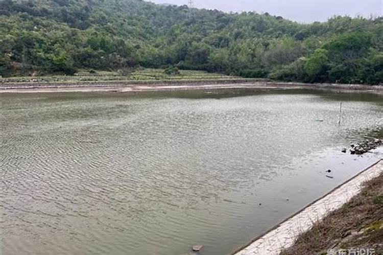 磷肥一亩地施多少