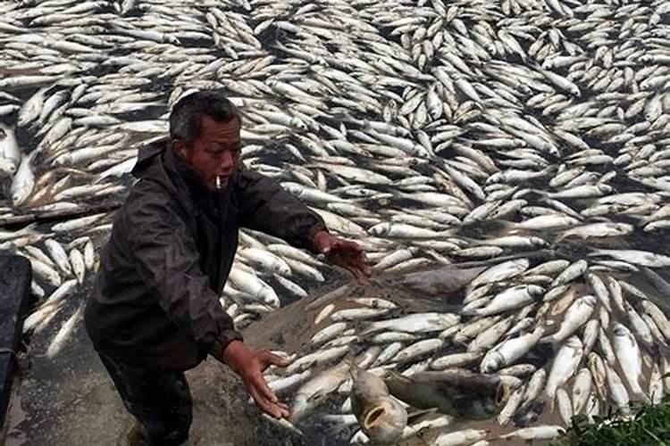 磷肥一亩地施多少