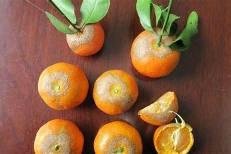 柑橘黄化一定是缺素吗？防治追肥应该怎么做