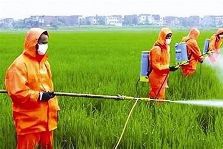 氮肥使用过量有哪些危害？氮肥使用技巧!