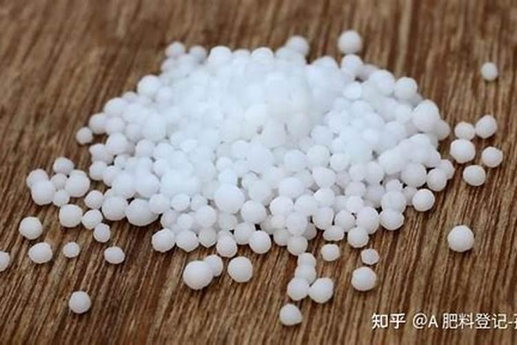 西红柿施什么肥果实膨大快？