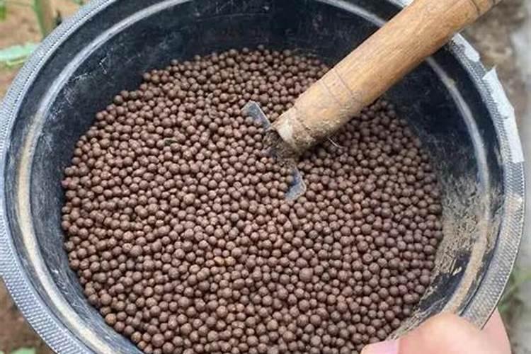 家里用什么可以做花肥花肥怎么施效果好