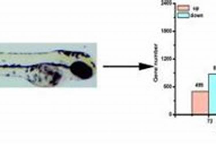 虫见愁丨阿维菌素杀虫剂在水产养殖中的作用及风险