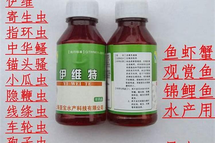 鱼缸里最魔性的蛋白虫,让宠物鱼新手抓狂,一个妙招解决难题!