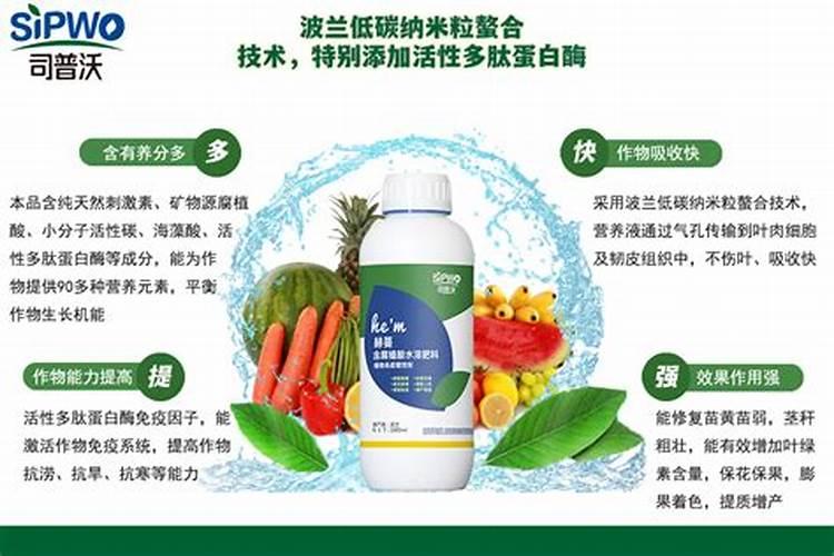 蝴蝶兰只用松针不用土可以吗