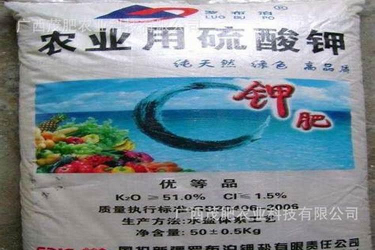 盐湖钾肥的股票代码(基石投资者)