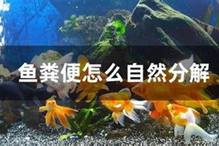 天然的磷钾肥有哪些