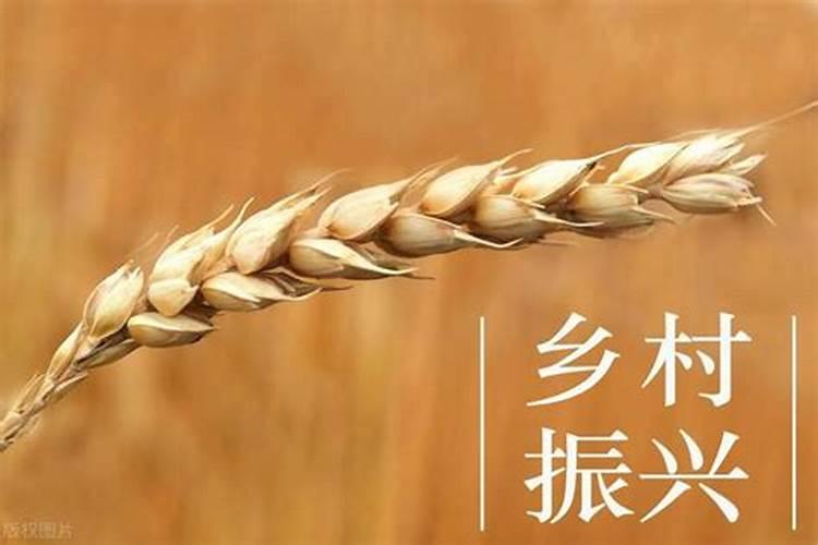 小麦底肥用二铵多少合适