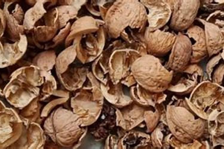 青核桃皮能否作肥料