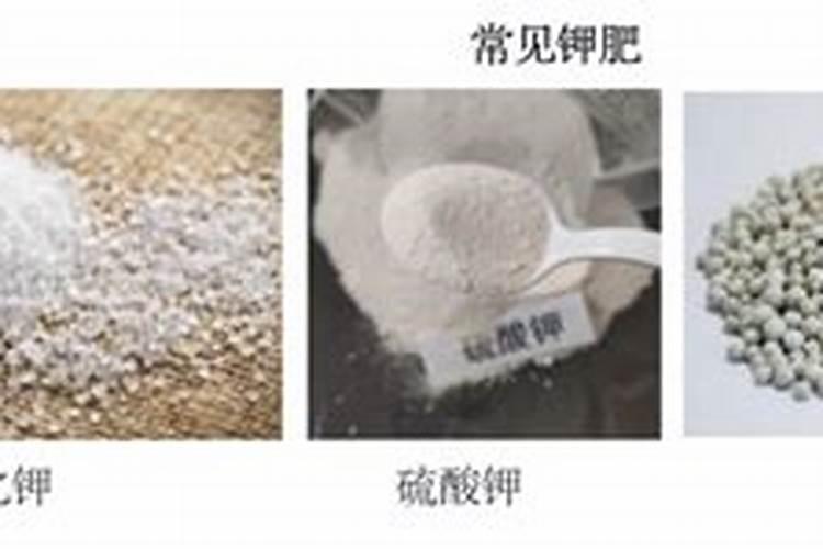 小麦打什么叶面肥增产