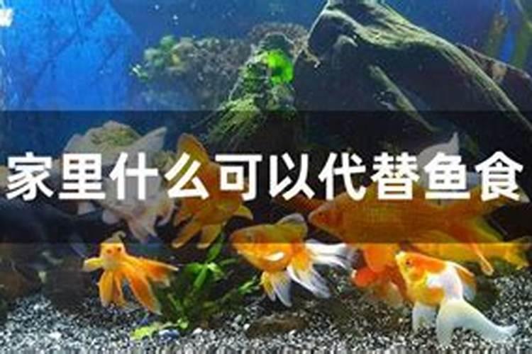 鳕鱼的营养价值可用什么代替