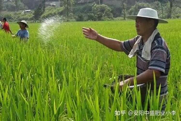 什么花用中微量元素肥