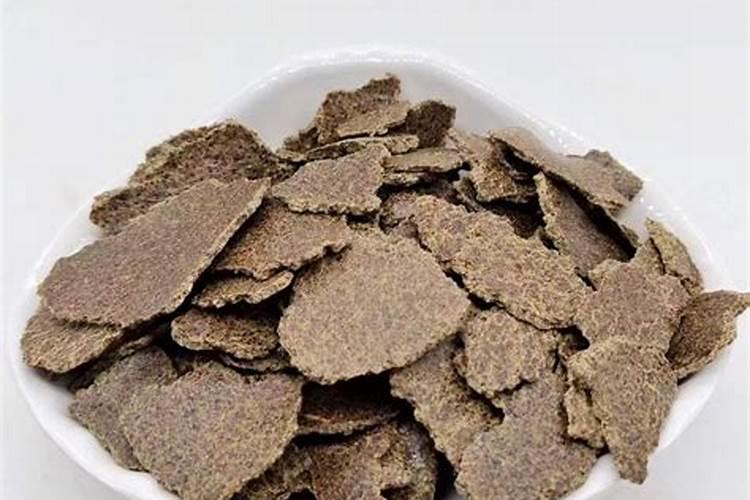 菜籽饼可以喂鱼吗