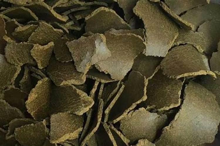 菜籽饼养鱼最佳用法