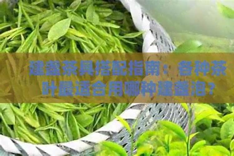 茶叶施磷肥选什么肥 茶叶施磷肥选哪种肥