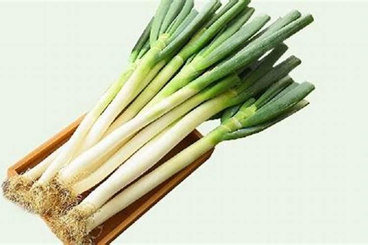 葱跟大蒜喜欢什么肥料