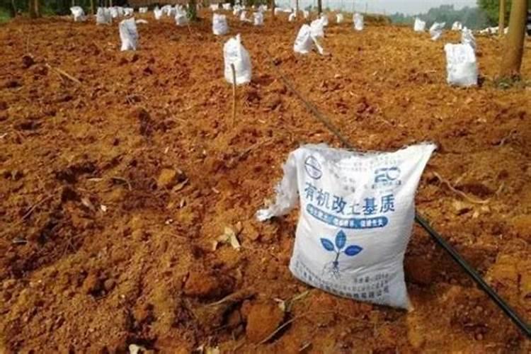 根罗水溶肥的作用与用法