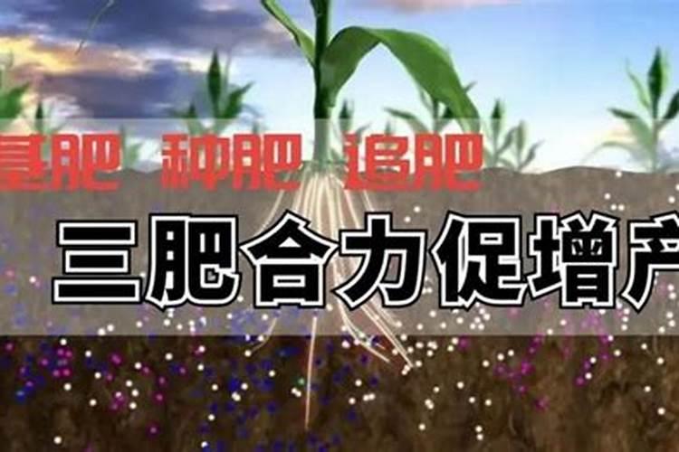 基肥的施用方法三种 哪些肥料可以用作基肥