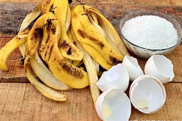 香蕉皮是属于氮肥还是钾肥