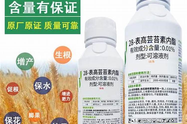 芸苔素用多了对植物有影响吗 膨大上果和下果