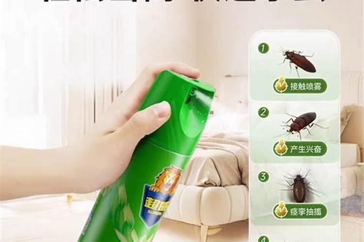 刚给发财树喷完营养液,能马上在施肥吗？