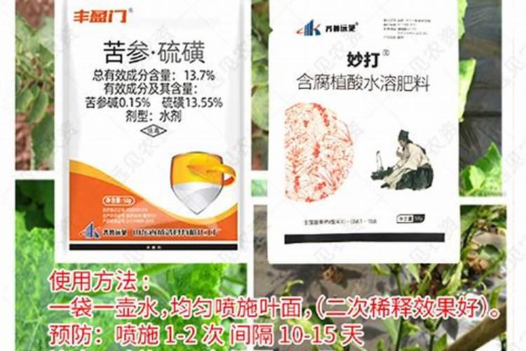 辣椒果实炭疽病用什么药
