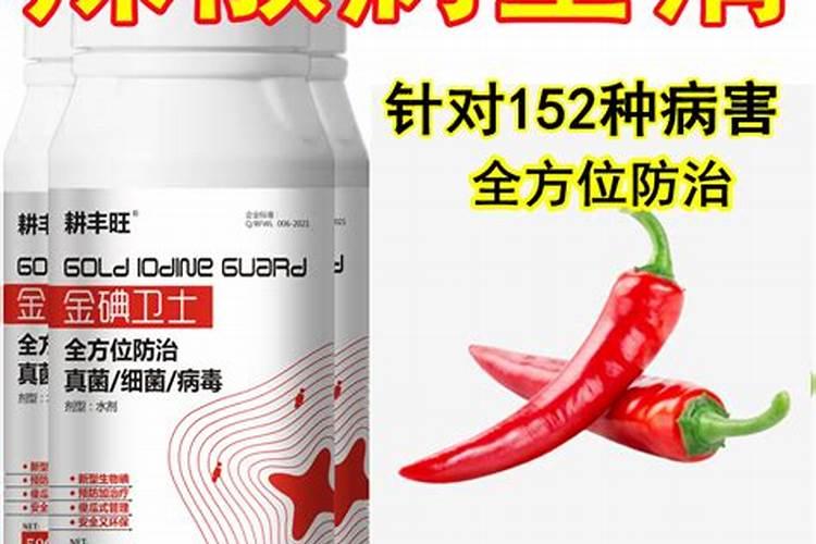辣椒疫病用什么杀菌药最好