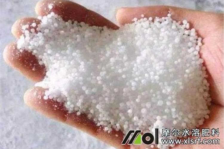 什么肥料促进茎叶生长